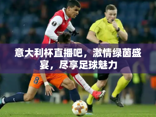 意大利杯直播吧，激情绿茵盛宴，尽享足球魅力