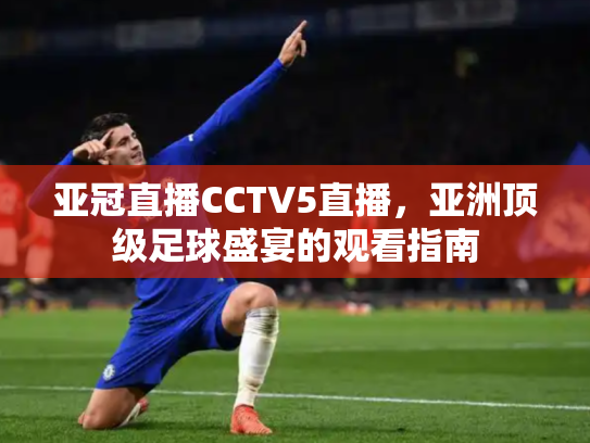 亚冠直播CCTV5直播，亚洲顶级足球盛宴的观看指南