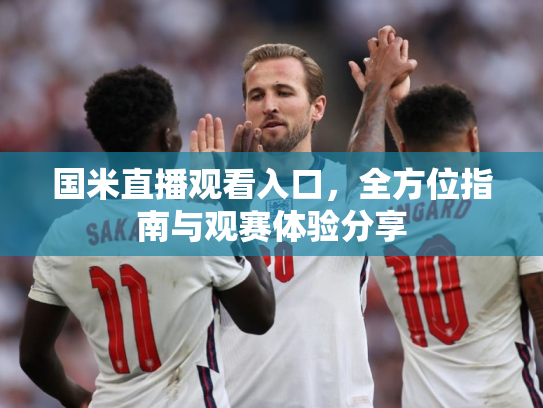 国米直播观看入口，全方位指南与观赛体验分享