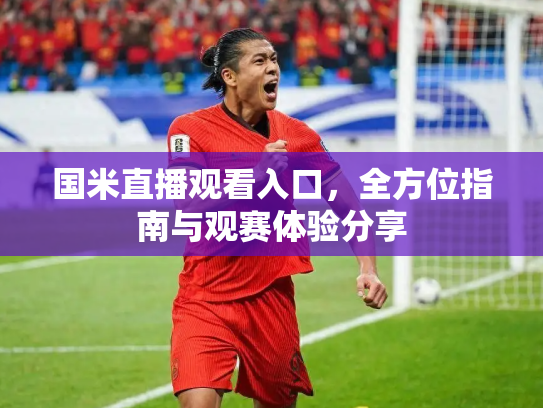 国米直播观看入口，全方位指南与观赛体验分享