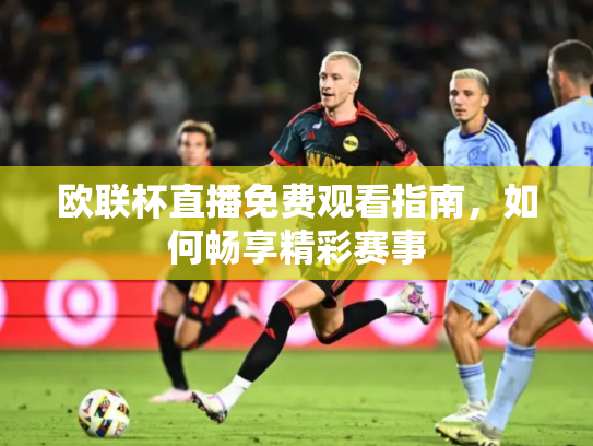 欧联杯直播免费观看指南，如何畅享精彩赛事