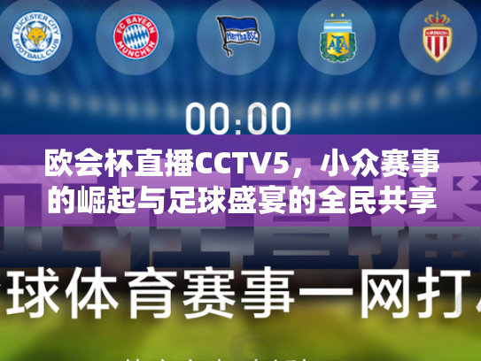 欧会杯直播CCTV5，小众赛事的崛起与足球盛宴的全民共享