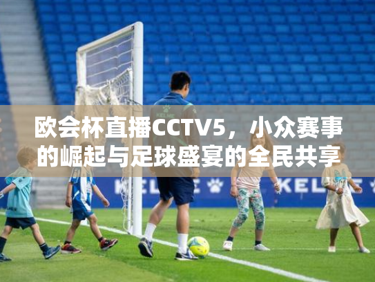 欧会杯直播CCTV5，小众赛事的崛起与足球盛宴的全民共享