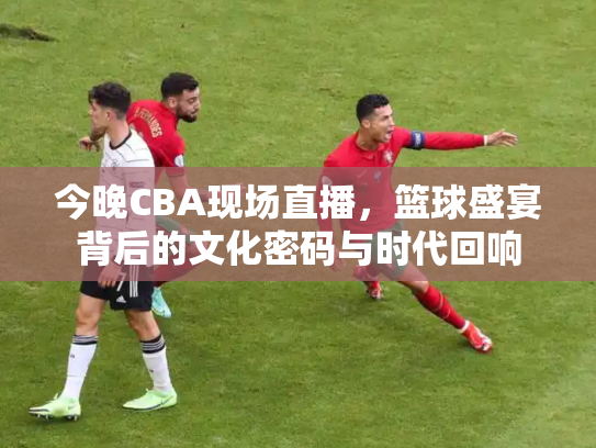今晚CBA现场直播，篮球盛宴背后的文化密码与时代回响