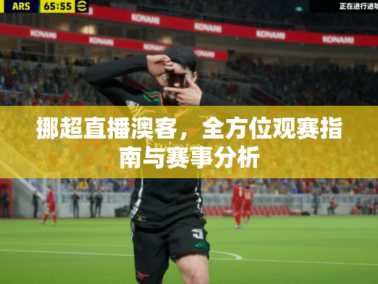挪超直播澳客，全方位观赛指南与赛事分析