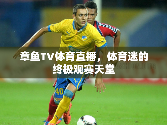 章鱼TV体育直播，体育迷的终极观赛天堂