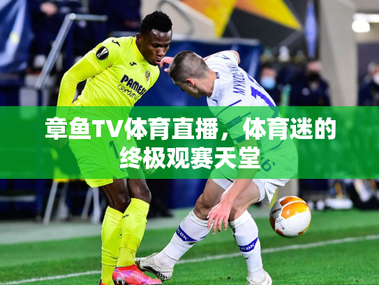 章鱼TV体育直播，体育迷的终极观赛天堂