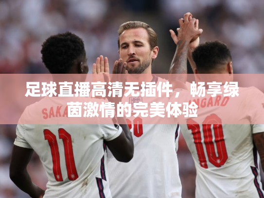 足球直播高清无插件，畅享绿茵激情的完美体验