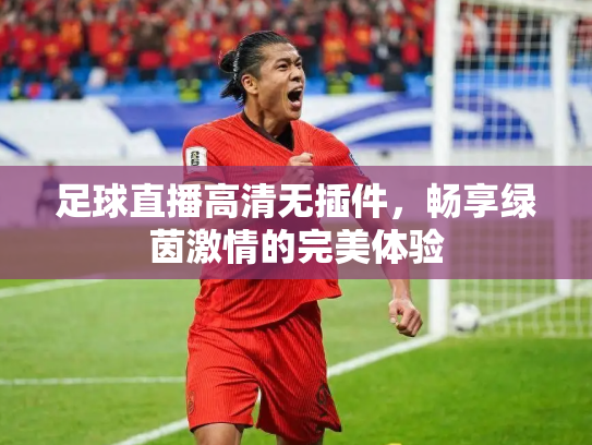 足球直播高清无插件，畅享绿茵激情的完美体验