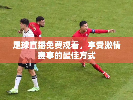 足球直播免费观看，享受激情赛事的最佳方式