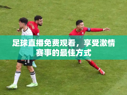 足球直播免费观看，享受激情赛事的最佳方式