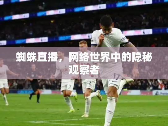 蜘蛛直播，网络世界中的隐秘观察者