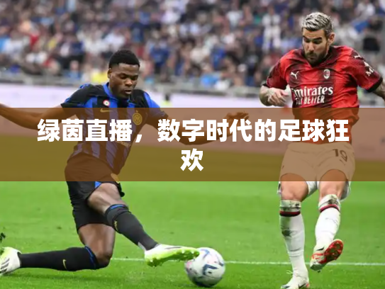 绿茵直播，数字时代的足球狂欢