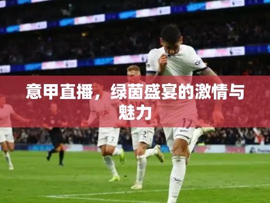 意甲直播，绿茵盛宴的激情与魅力