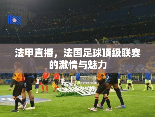 法甲直播，法国足球顶级联赛的激情与魅力