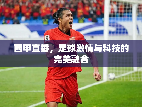 西甲直播，足球激情与科技的完美融合