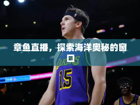 章鱼直播，探索海洋奥秘的窗口