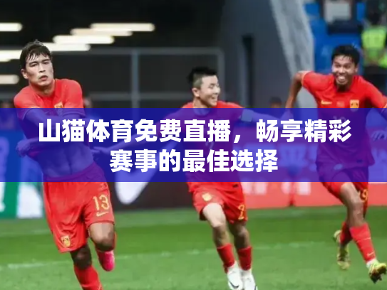 山猫体育免费直播，畅享精彩赛事的最佳选择