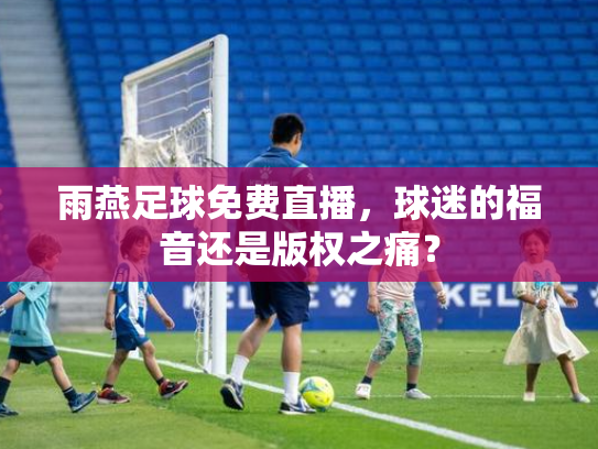 雨燕足球免费直播，球迷的福音还是版权之痛？
