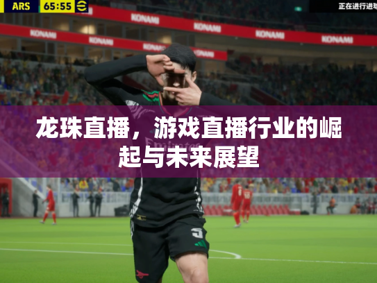 龙珠直播，游戏直播行业的崛起与未来展望