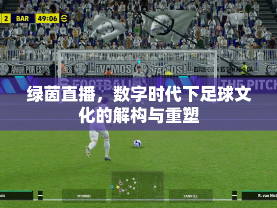 绿茵直播，数字时代下足球文化的解构与重塑