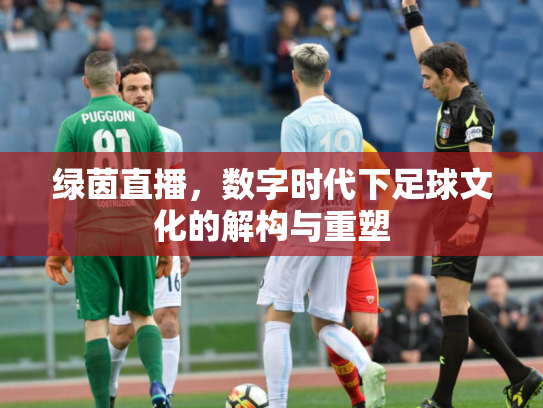 绿茵直播，数字时代下足球文化的解构与重塑