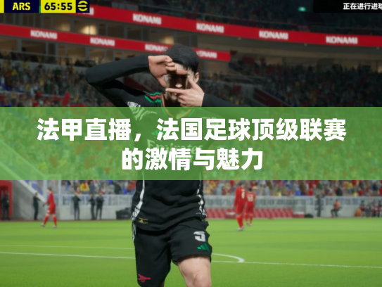 法甲直播，法国足球顶级联赛的激情与魅力