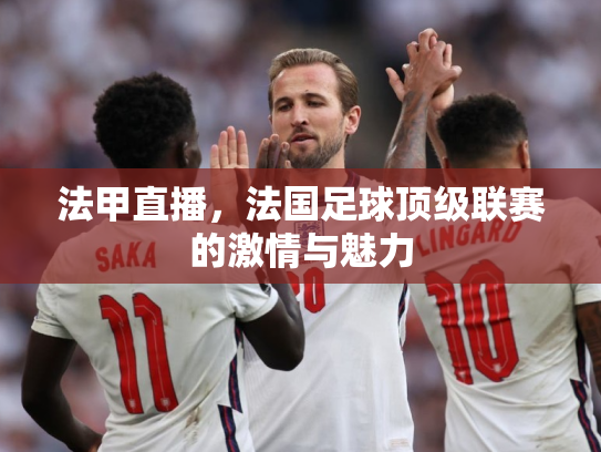 法甲直播，法国足球顶级联赛的激情与魅力