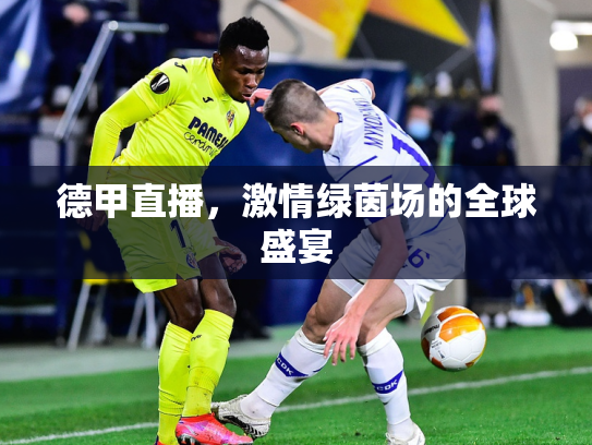 德甲直播，激情绿茵场的全球盛宴