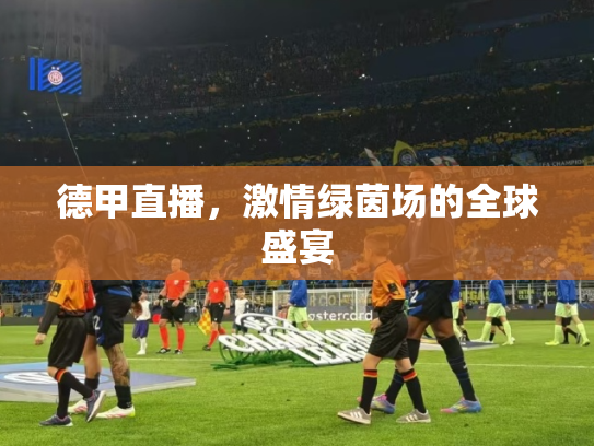 德甲直播，激情绿茵场的全球盛宴