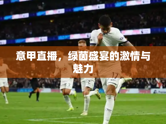 意甲直播，绿茵盛宴的激情与魅力