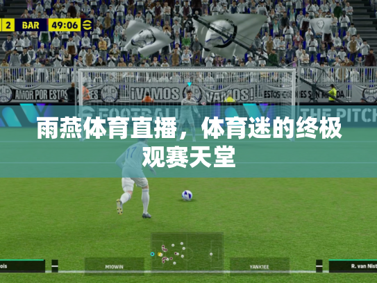 雨燕体育直播，体育迷的终极观赛天堂