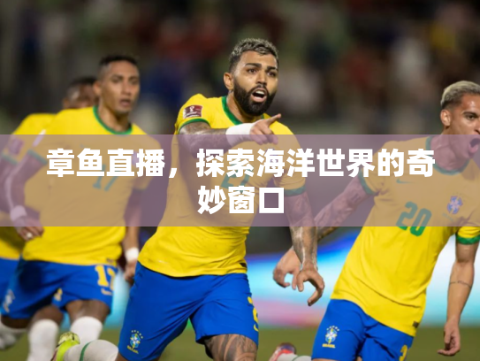 章鱼直播，探索海洋世界的奇妙窗口