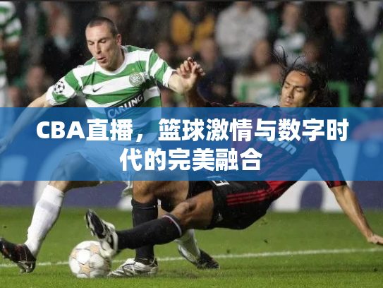 CBA直播，篮球激情与数字时代的完美融合