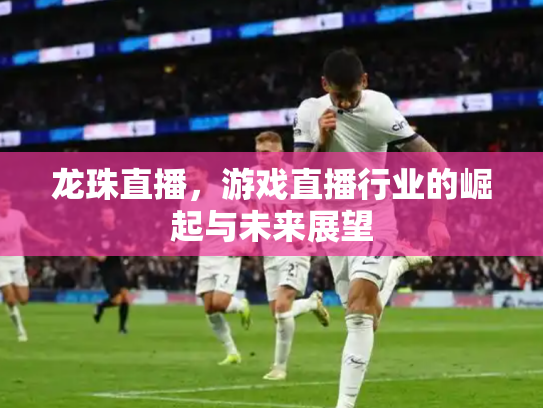 龙珠直播，游戏直播行业的崛起与未来展望