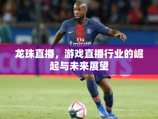 龙珠直播，游戏直播行业的崛起与未来展望