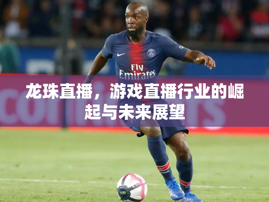 龙珠直播，游戏直播行业的崛起与未来展望