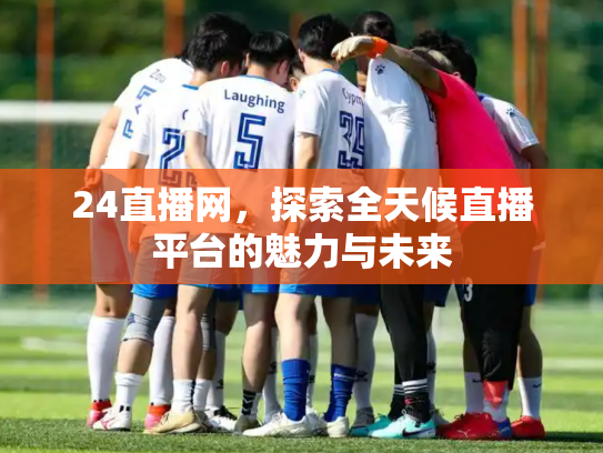 24直播网，探索全天候直播平台的魅力与未来