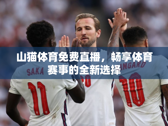 山猫体育免费直播，畅享体育赛事的全新选择