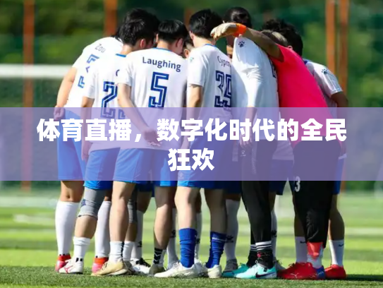 体育直播，数字化时代的全民狂欢