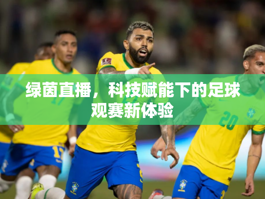 绿茵直播，科技赋能下的足球观赛新体验