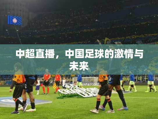 中超直播，中国足球的激情与未来