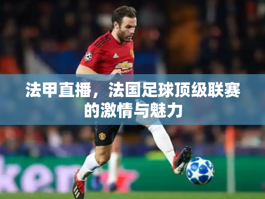 法甲直播，法国足球顶级联赛的激情与魅力