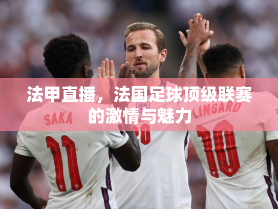 法甲直播，法国足球顶级联赛的激情与魅力