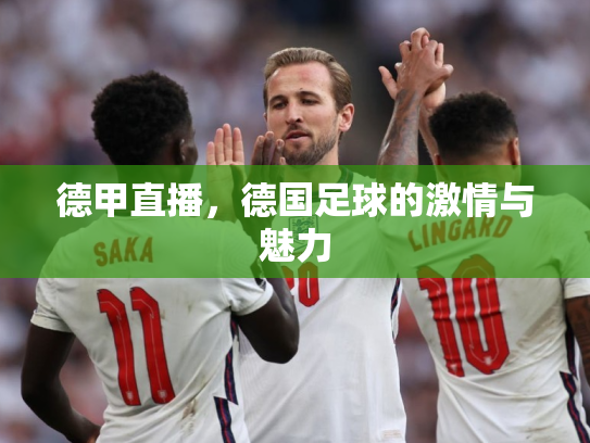 德甲直播，德国足球的激情与魅力