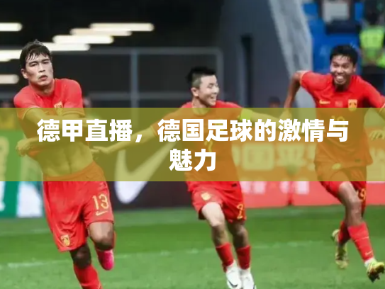 德甲直播，德国足球的激情与魅力
