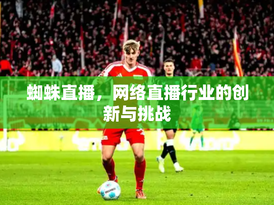 蜘蛛直播，网络直播行业的创新与挑战