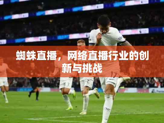 蜘蛛直播，网络直播行业的创新与挑战
