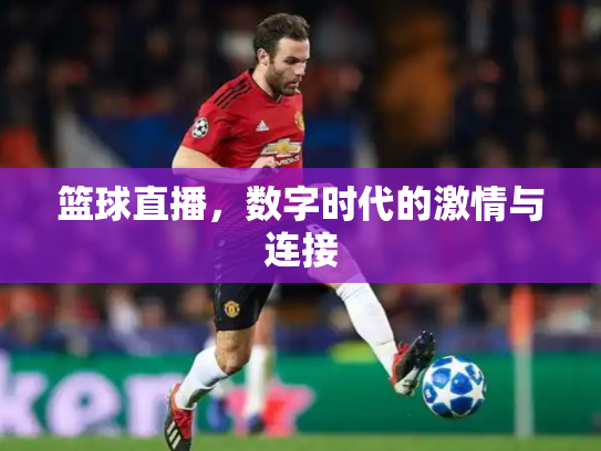 篮球直播，数字时代的激情与连接