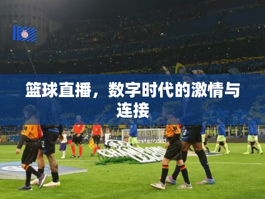 篮球直播，数字时代的激情与连接